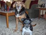 Doby